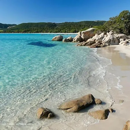 Petit Nid Douillet à Deux Pas De Santa Giulia *