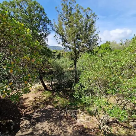 Apartamento Petit Nid Douillet A Deux Pas De Santa Giulia *