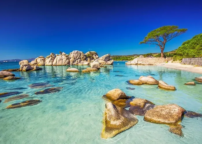 Petit Nid Douillet A Deux Pas De Santa Giulia * Порто-Веккьо