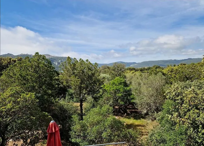 Apartament Petit Nid Douillet A Deux Pas De Santa Giulia Porto-Vecchio (Corsica)