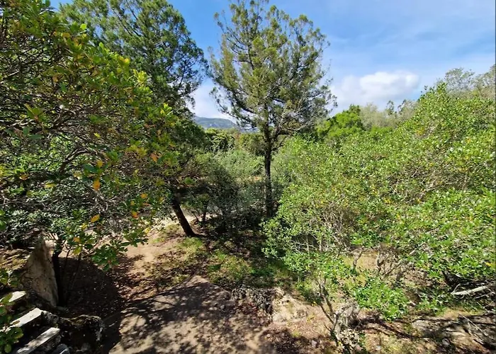 Apartament Petit Nid Douillet A Deux Pas De Santa Giulia *